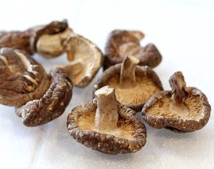champignons shiitakes