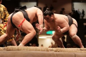 deux lutteurs sumo en plein combat