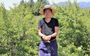 producteur de prunes japonaise debout dans un champ