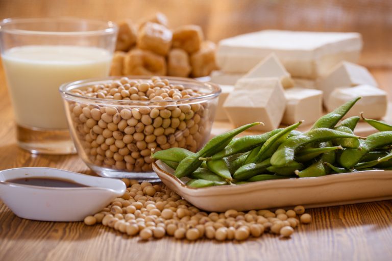 Ensemble de produits faits à base de soja : edamame, sauce soja, tofu, graines de soja, lait de soja