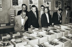 Photo noir et blanc de six hommes japonais qui regardent des caisses de champignons posés devant eux au premier plan 