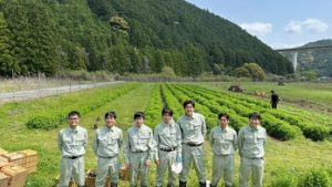 Employés japonais alignés devant un champ de sésame
