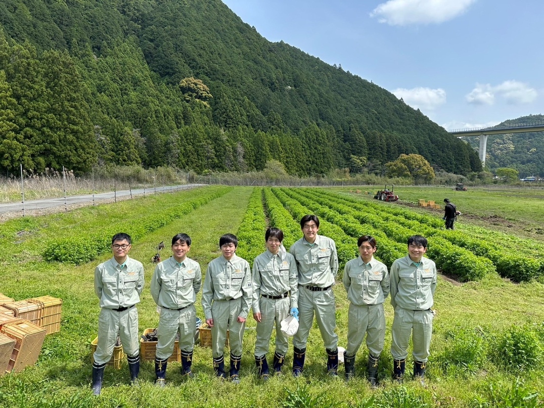 Employés japonais alignés devant un champ de sésame