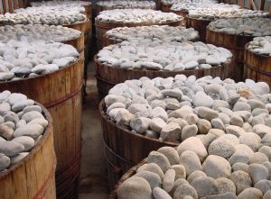 Barils en bois surmonté de tonnes de pierres blanches, pour le brassage du miso