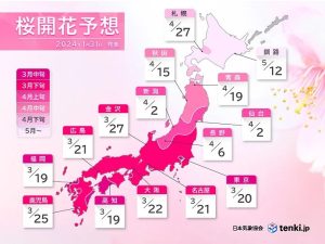 Carte rose du Japon avec les dates de floraison des sakura par région