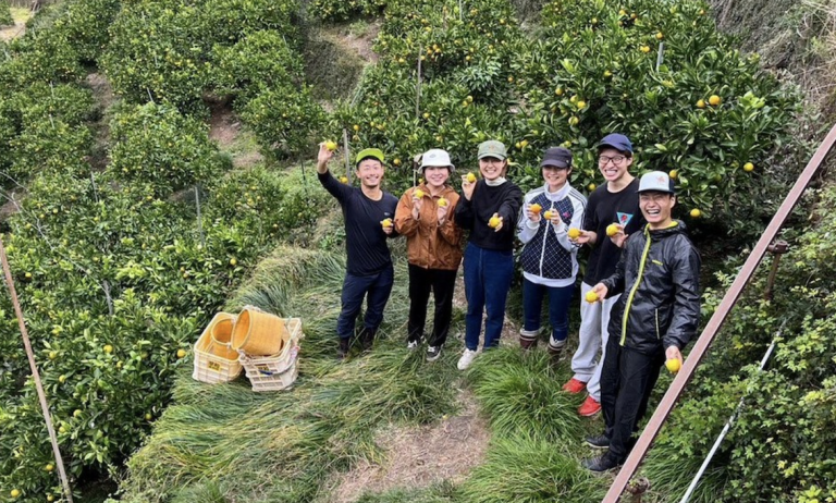 Équipe de fermiers japonais de Sowa Kajuen près d'une cueillette de mikan dans la montagne japonaise